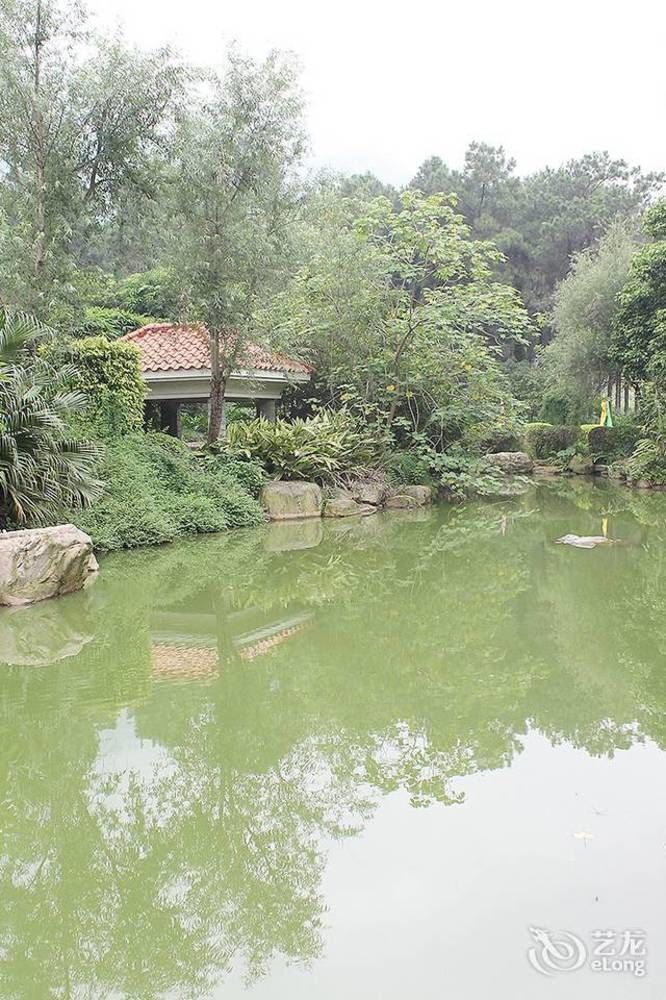 Grace Garden Hotel Qingyuan (Guangdong) Exterior photo